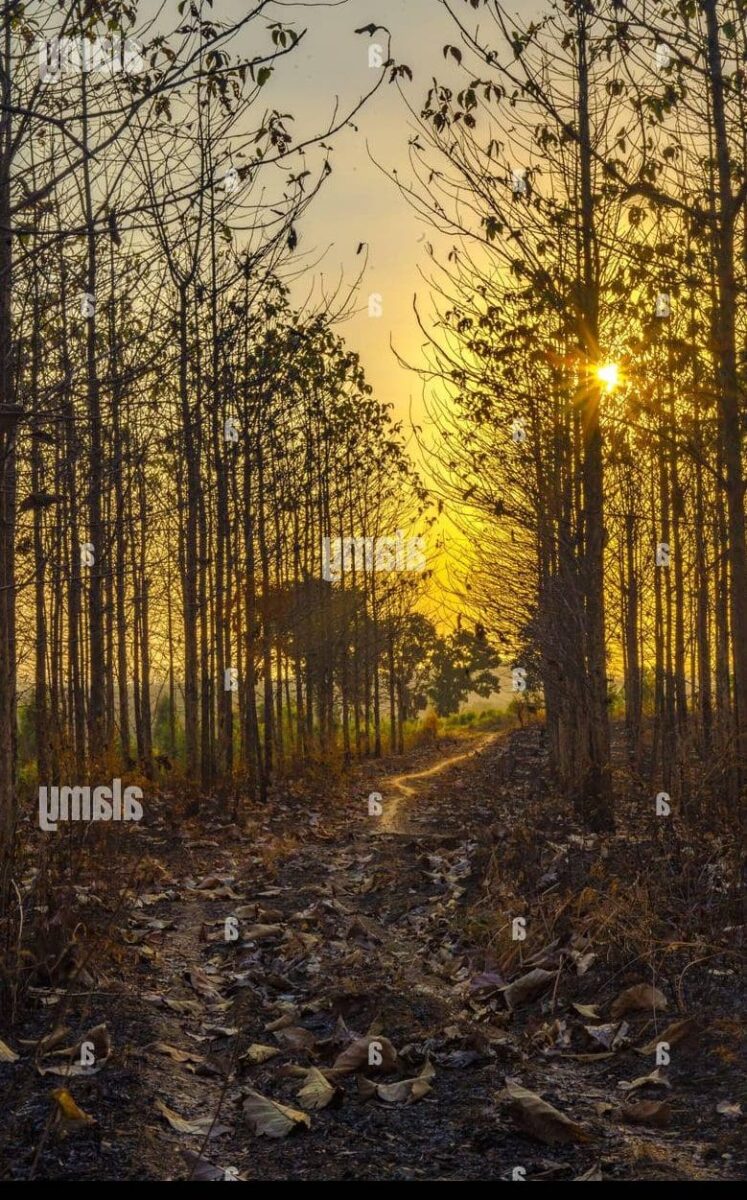 Découvrez la beauté de Da Balaia : Un joyau caché au Portugal