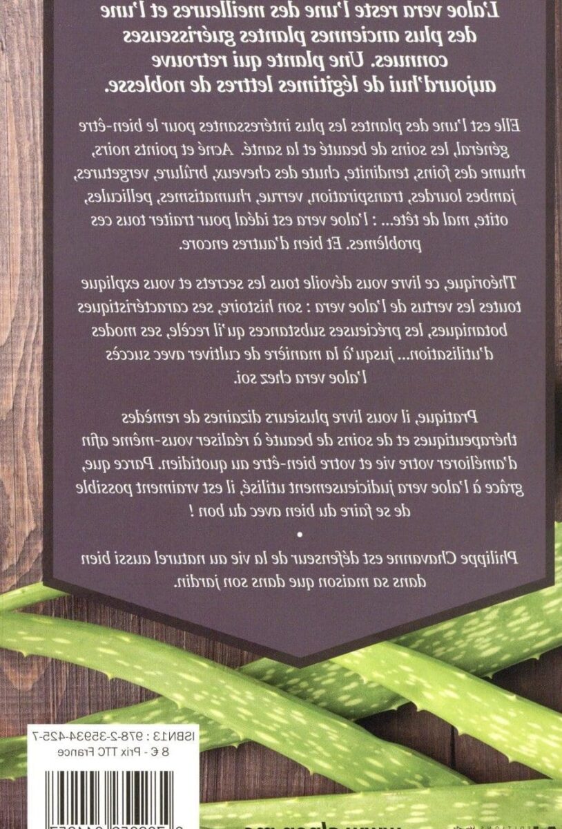 Découvrez la beauté de Grand Baie à Maurice