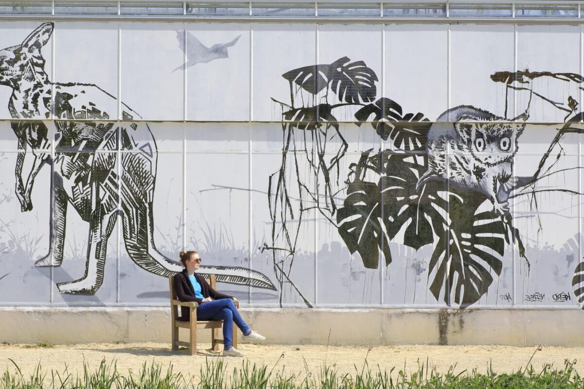 Le Jardin des Explorateurs : Un havre de découvertes au cœur de la nature