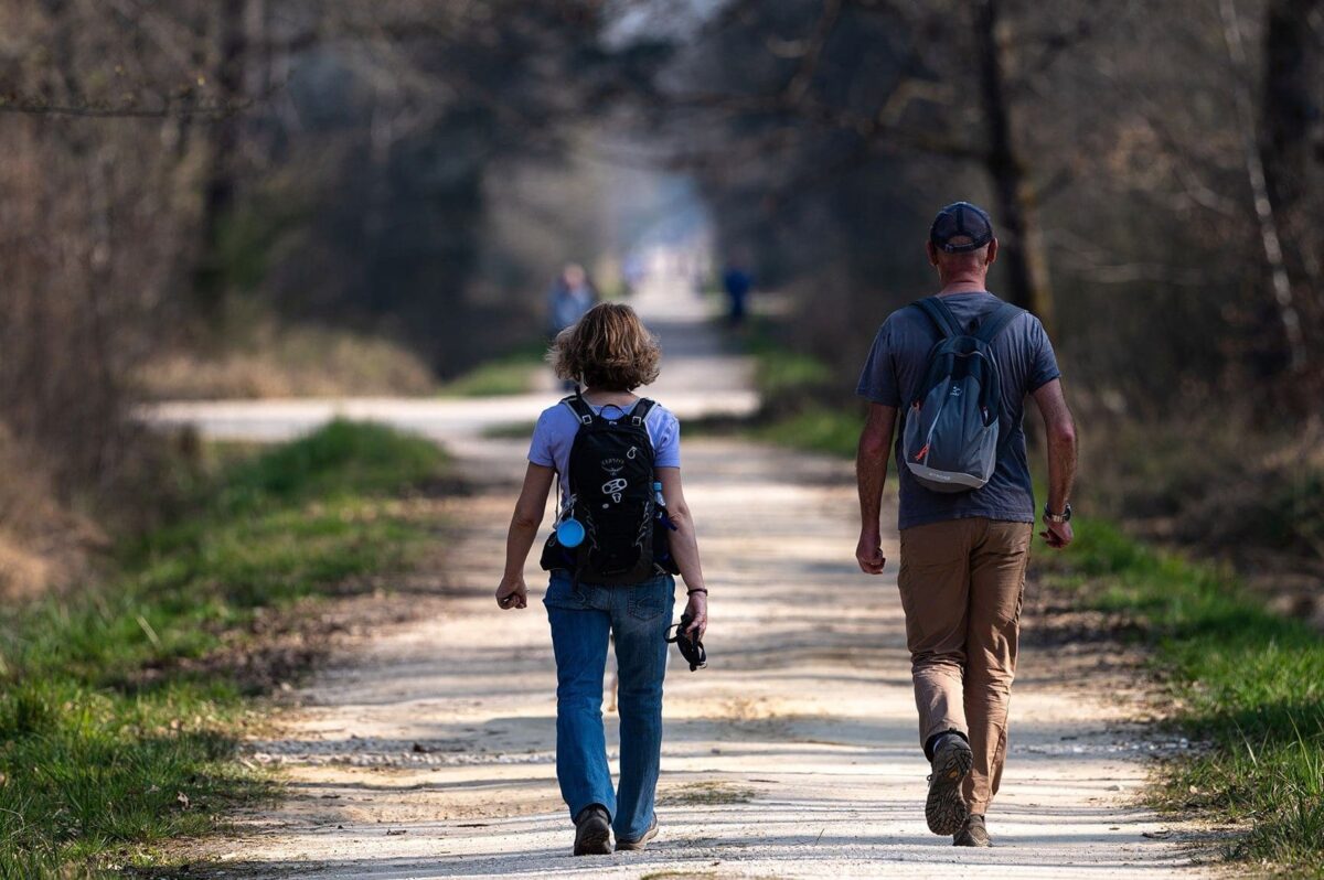 Les Trésors Cachés de la Roumanie : Exploration des Paysages Époustouflants du Pays