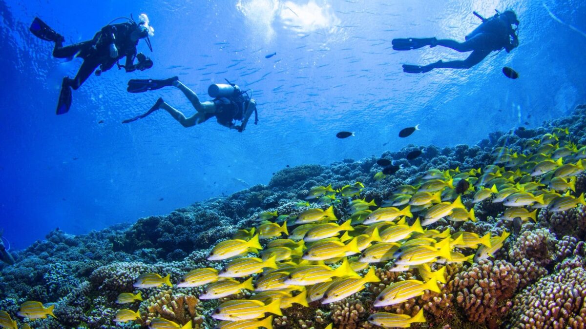 Plongez dans une oasis de détente : Découvrez les meilleurs massages à Ajaccio