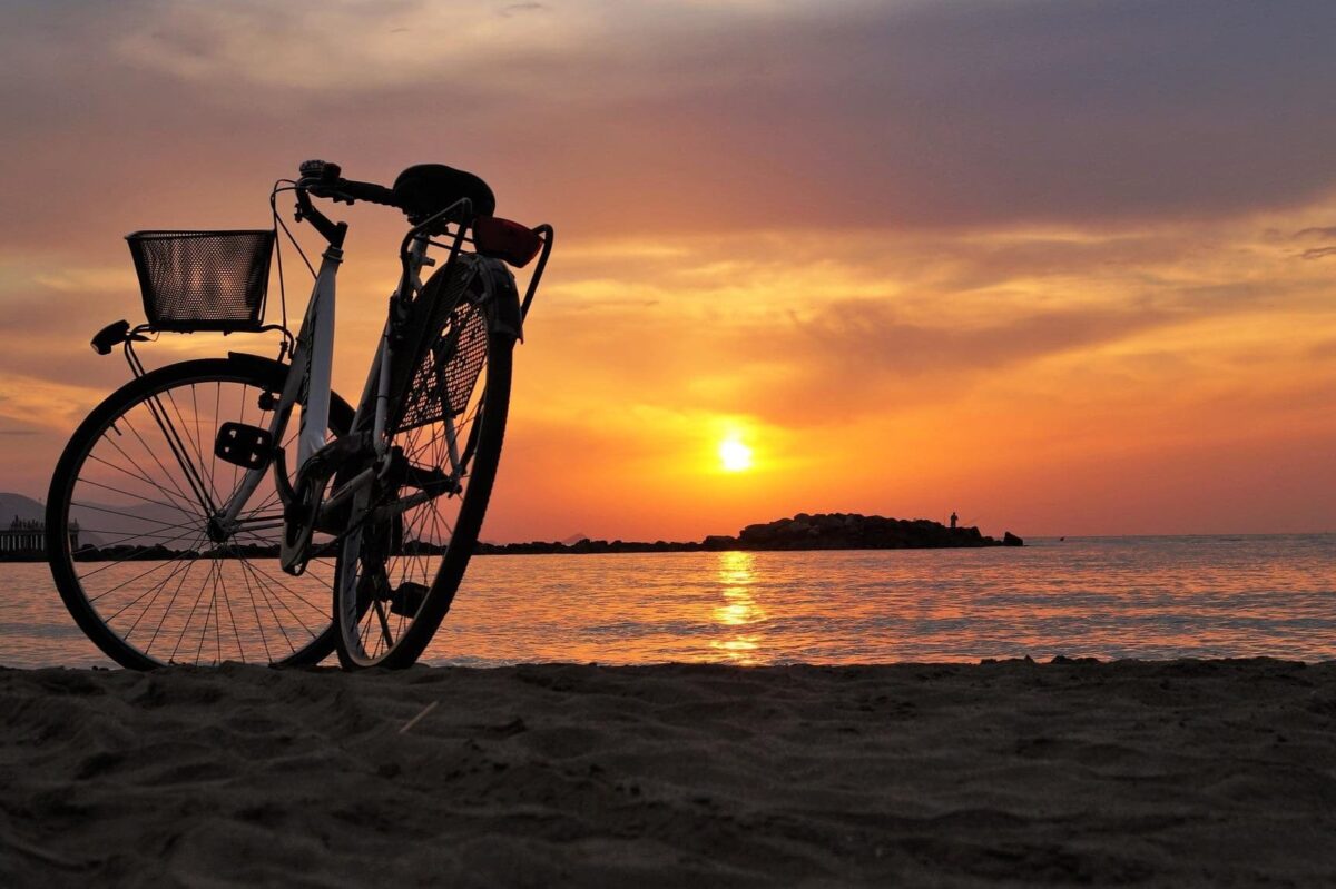 Découvrez les merveilles de Douarnenez : Que faire dans cette charmante ville bretonne ?