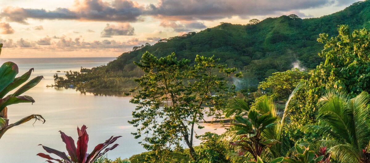 Puerto Escondido: Évasion Secrète sur les Côtes Mexicaines