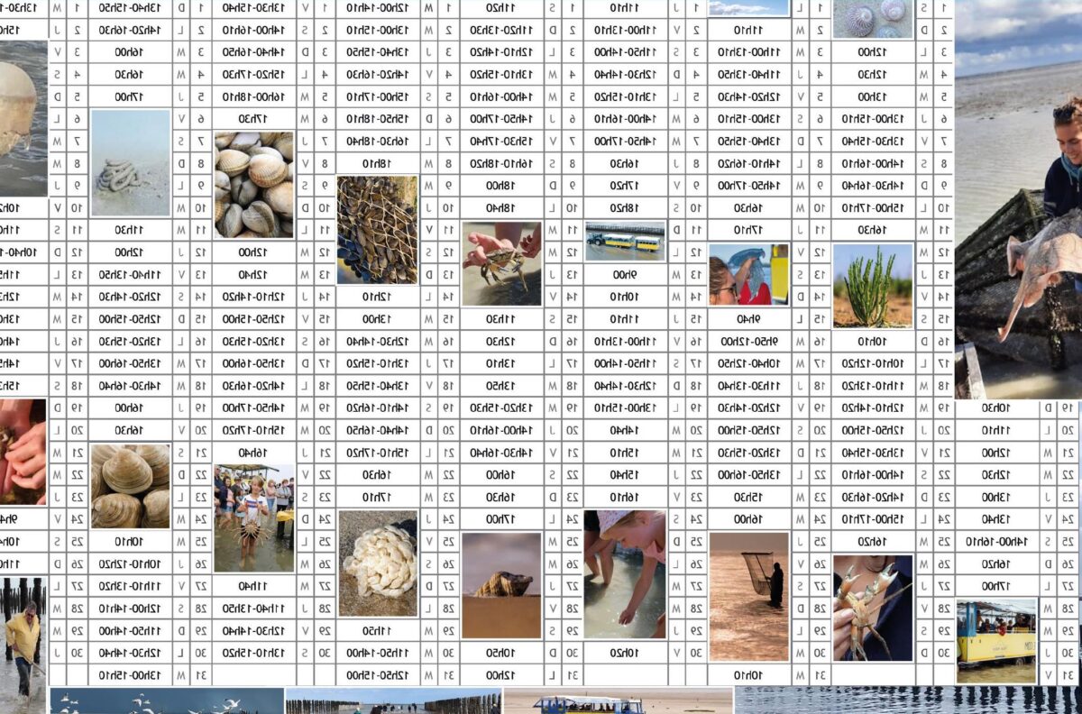 Quels sont les horaires des trains entre Rouen et Paris ?