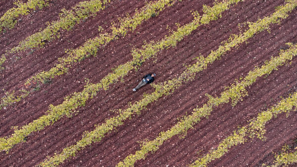 Pourquoi devriez-vous découvrir le magnifique lac d&rsquo;Ayous lors d&rsquo;une randonnée ?