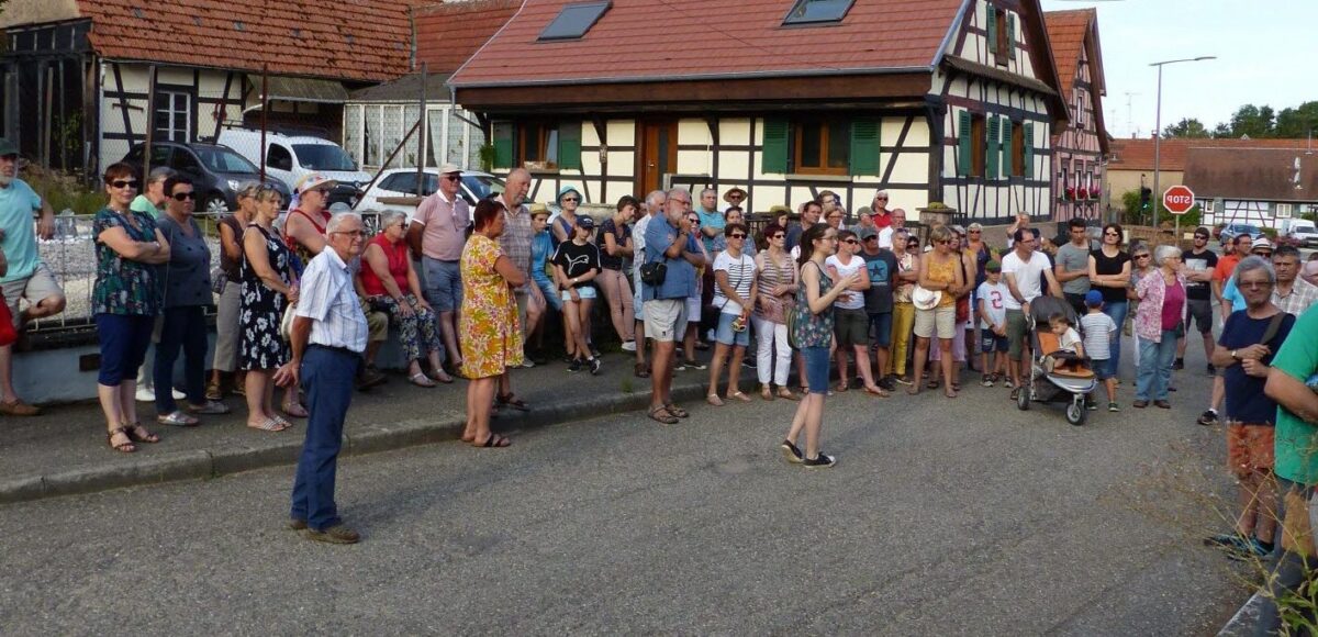 À la découverte des particularités de la monnaie australienne : un voyage numismatique