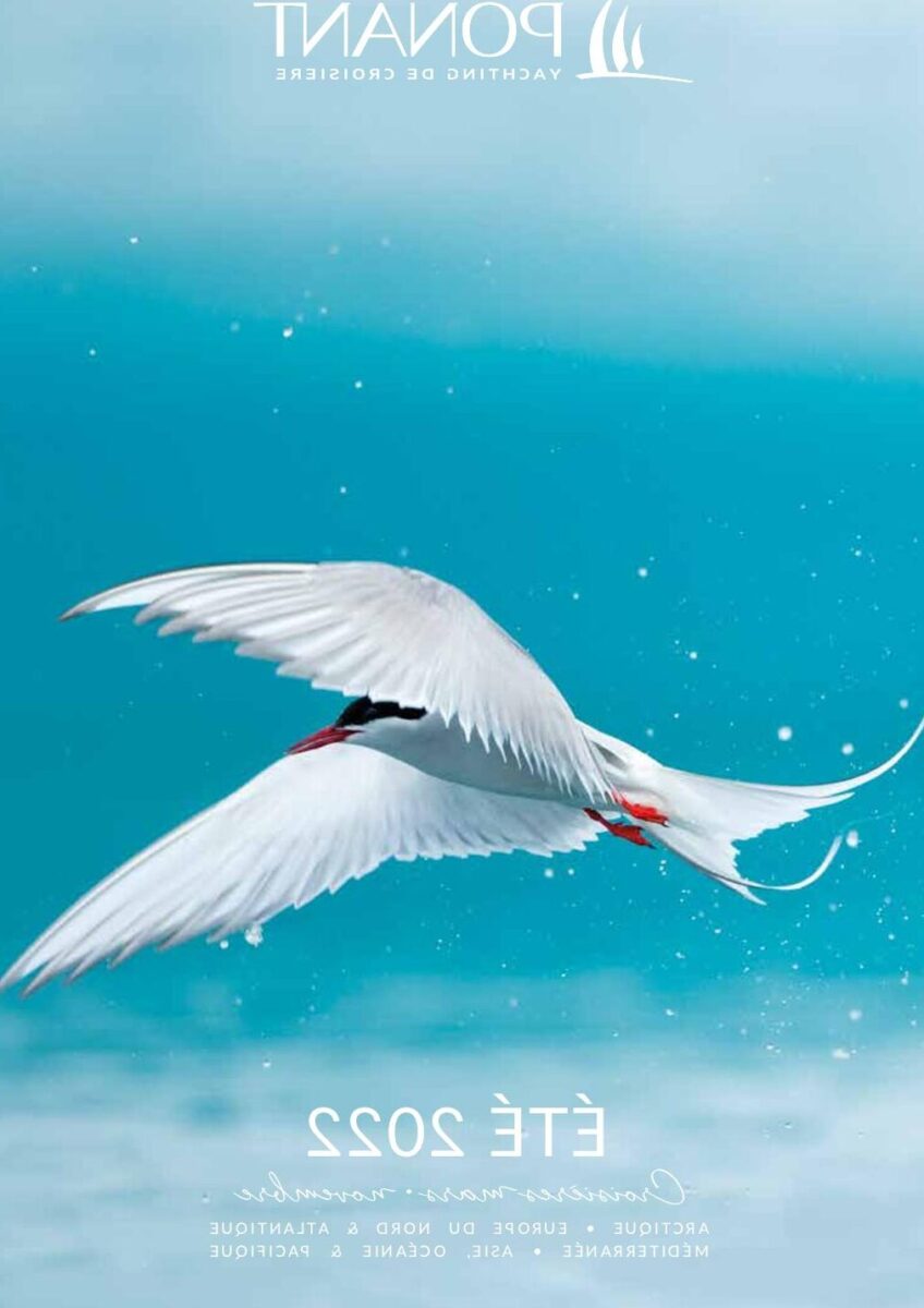 Exploration de Sigtuna : Plongée dans la plus vieille ville de Suède