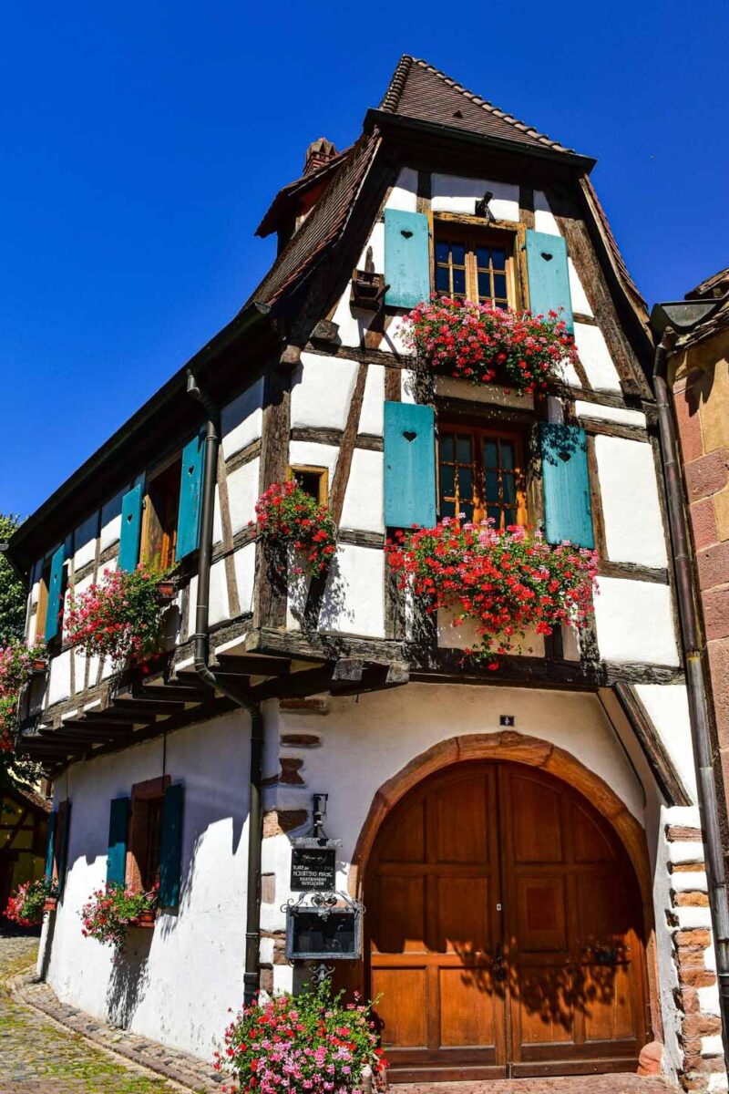 Sur la Route des Vins: Découvrir les Charmes de la Bourgogne à Vélo