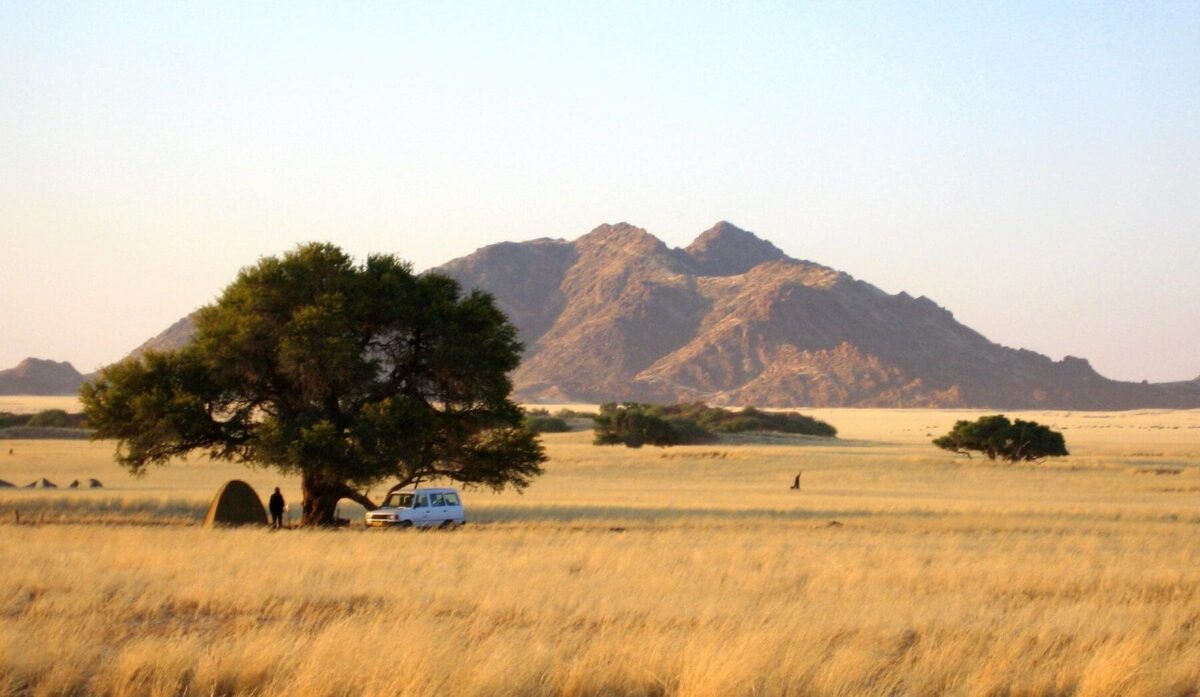 Safari en Namibie : À la découverte des joyaux sauvages de l&rsquo;Afrique