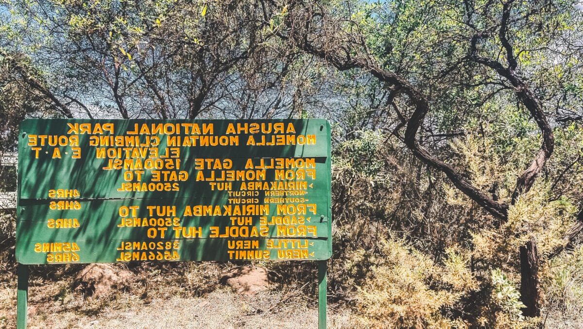 Ascension du Mont Méru: Découverte mystique au cœur de la Tanzanie