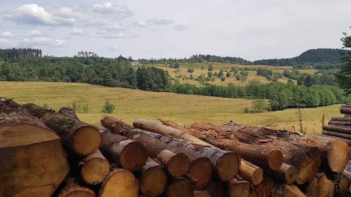 Ranrupt : Un havre de paix au coeur des Vosges