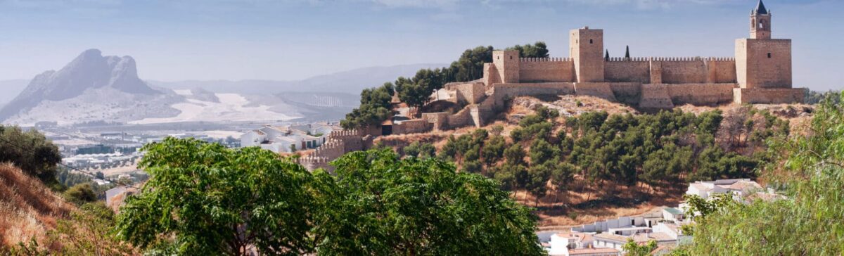 Bynativ avis : l&rsquo;expérience authentique du voyage dévoilée par les experts