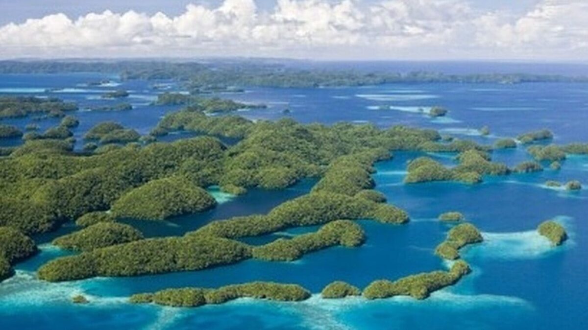 Les joyaux océaniques de l’Australie : Guide des plus belles plages de Sydney