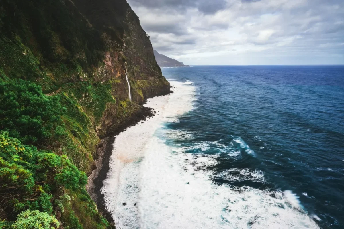 Madère : l&rsquo;île enchantée aux mille et une fleurs tropicales