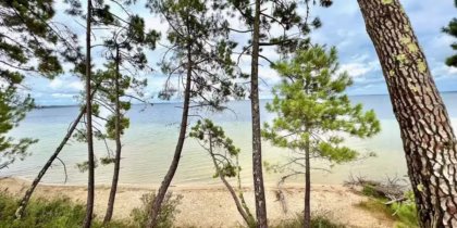 lac biscarrosse