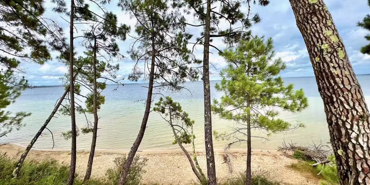 lac biscarrosse